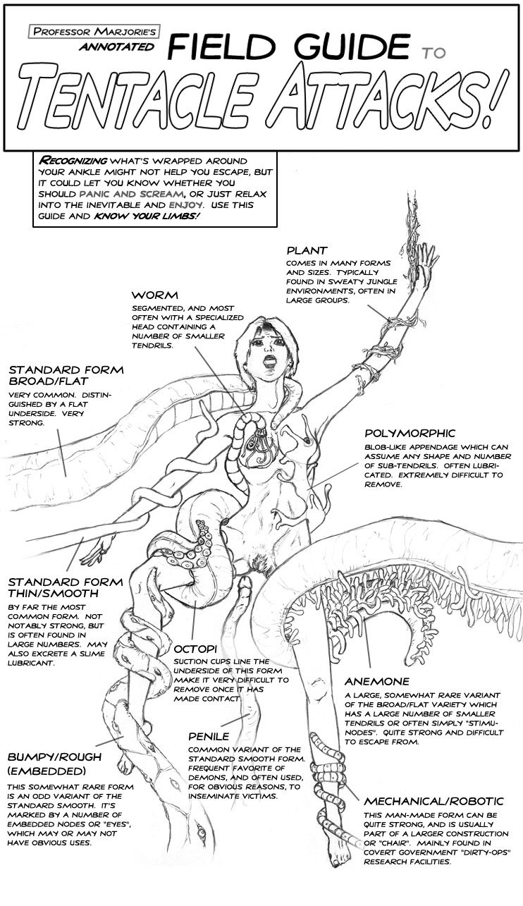 Field Guide - Page 1
