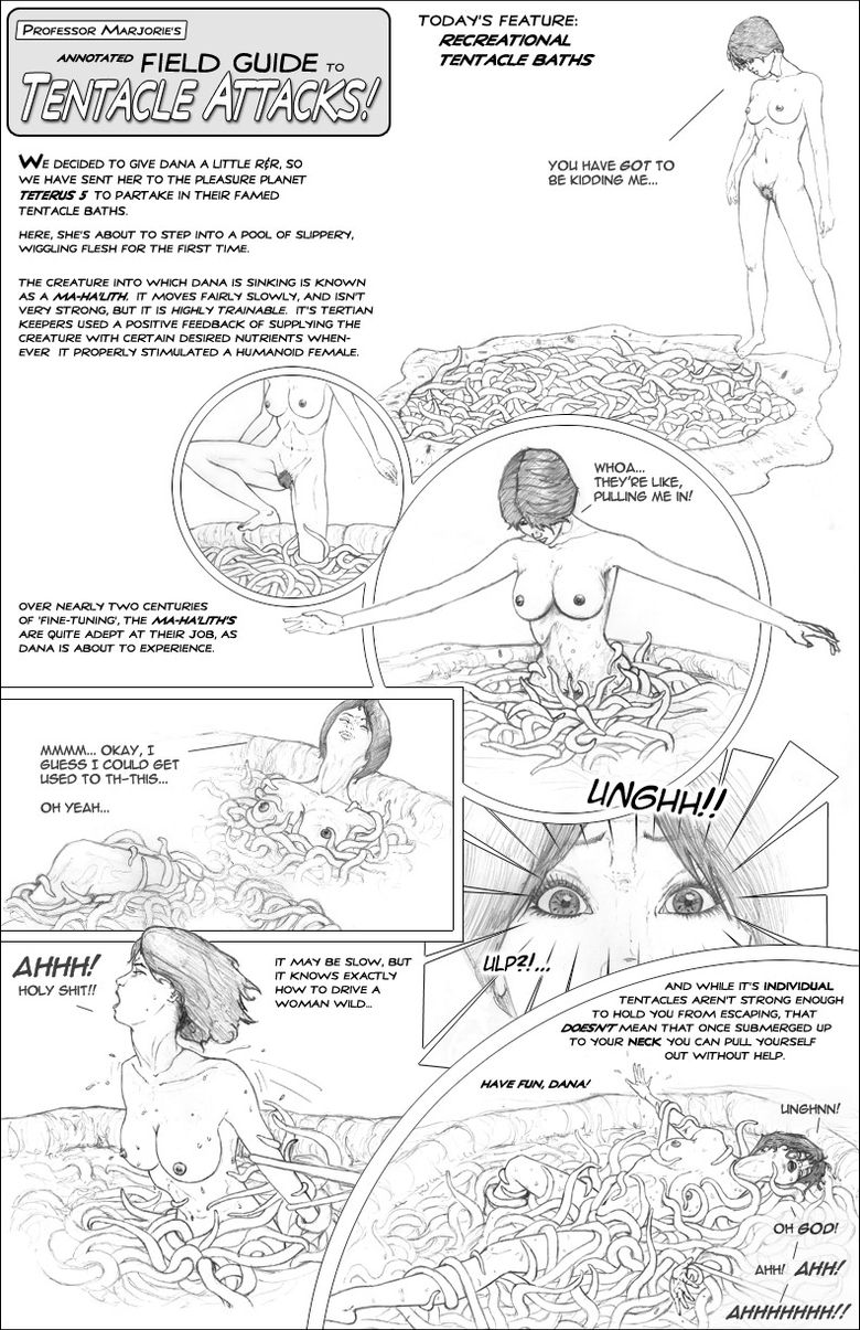 Field Guide - Page 4