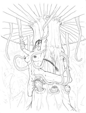 Sketchbook