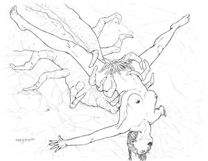Sketchbook