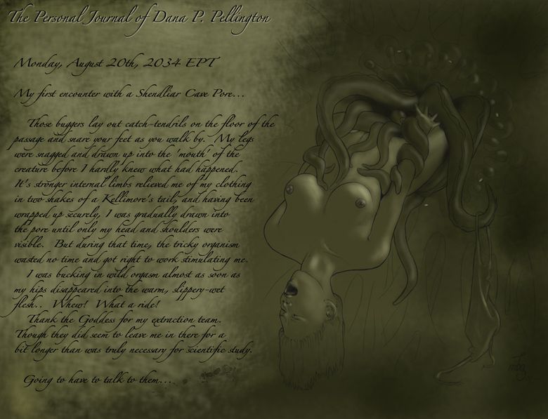 The Personal Journal of Dana P. Pellington - Cave Pore