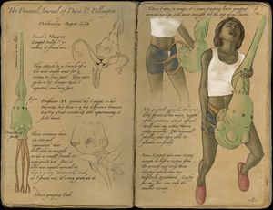 Sketchbook