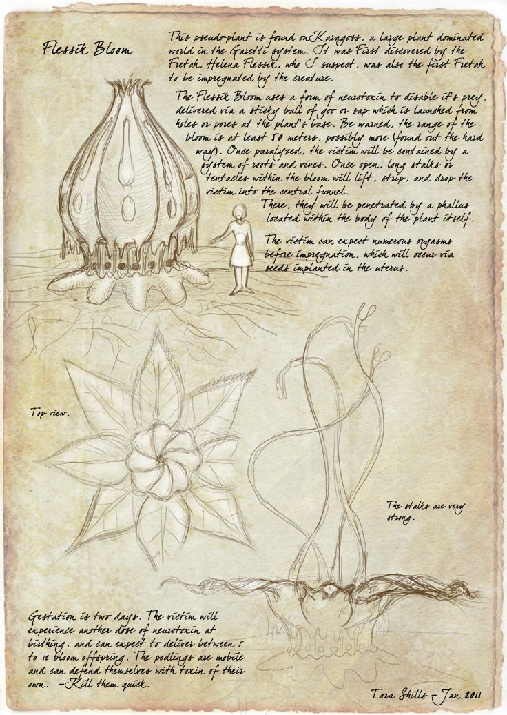 Flessik Bloom Page 1